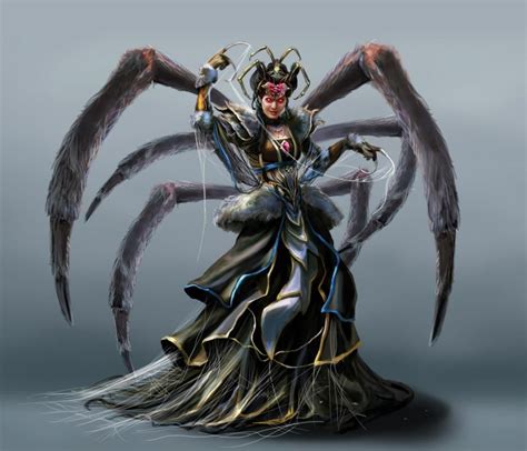 Spider witch marveo